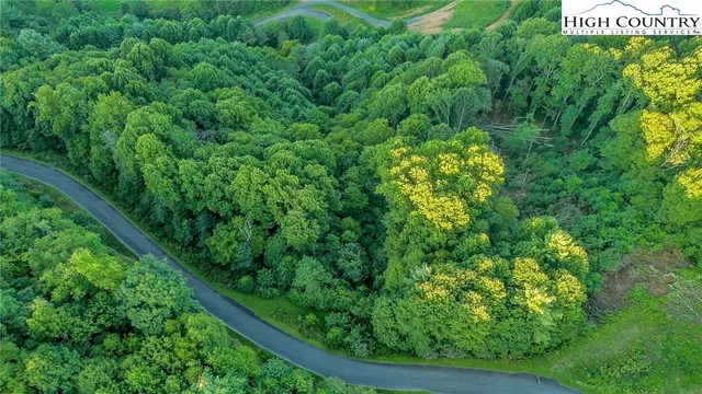 a view of a garden from a window