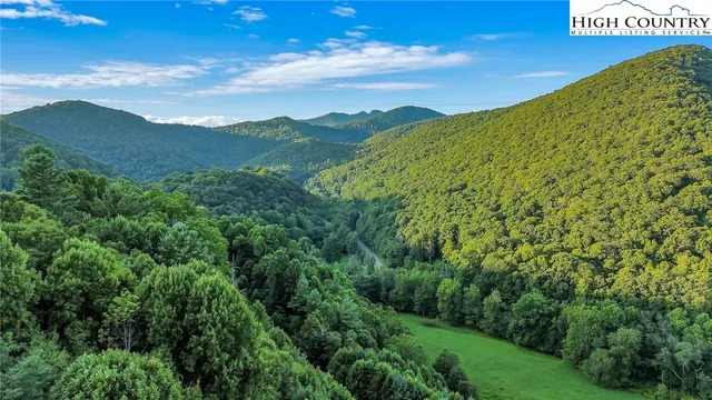 a view of a lush green hillside and a houses