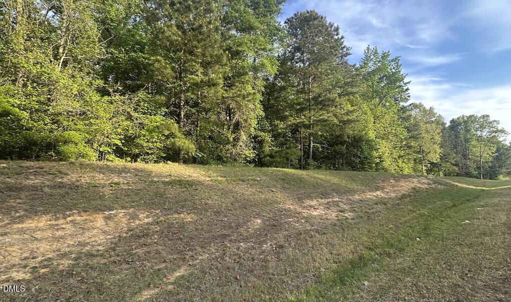 0 L L Cooper Road Cameron, NC 28326 - Photo 7 of 17 a view of outdoor space and yard