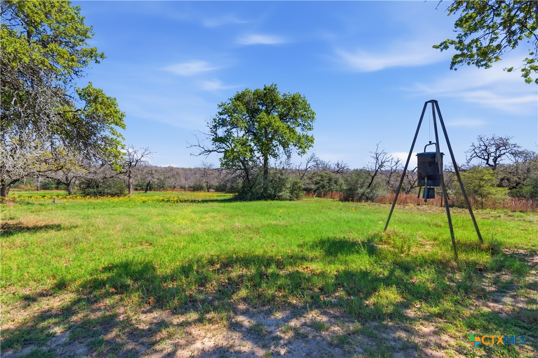 155 Guadalupe Ranch Lane Seguin, TX 78155 - Photo 6 of 48 a view of a garden with a tree