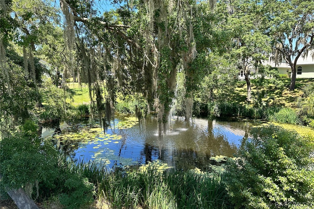 800 Balmoral Court Inverness, FL 34453 - Photo 56 of 72 Pool