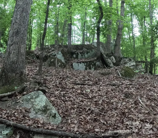a view of outdoor space and tree