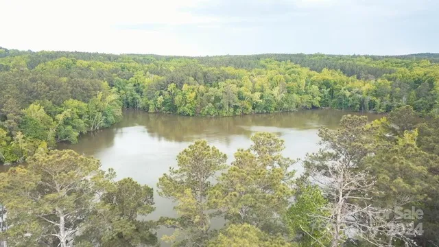 a view of a forest with a lake