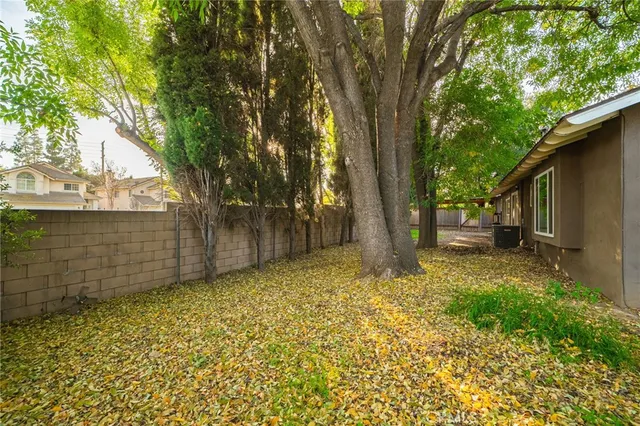 a view of a backyard with large tree