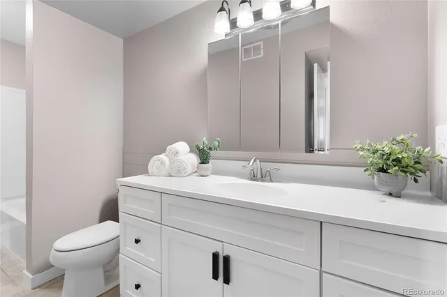 a bathroom with a sink a toilet and mirror