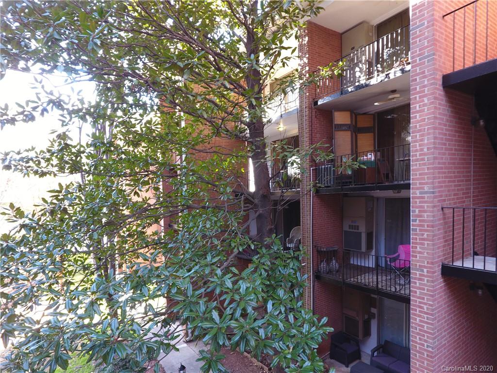 400 Queens Road, Unit D1 Charlotte, NC 28207 - Photo 20 of 23 a view of a house with a tree