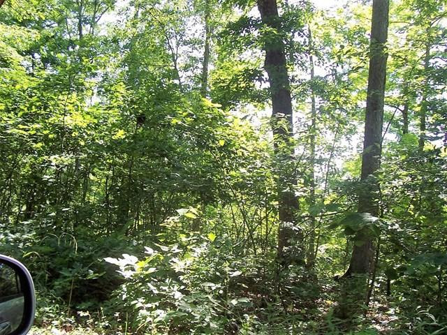 0 Morris Peters Road Vincent, KY 41386 - Photo 5 of 14 Photo 5