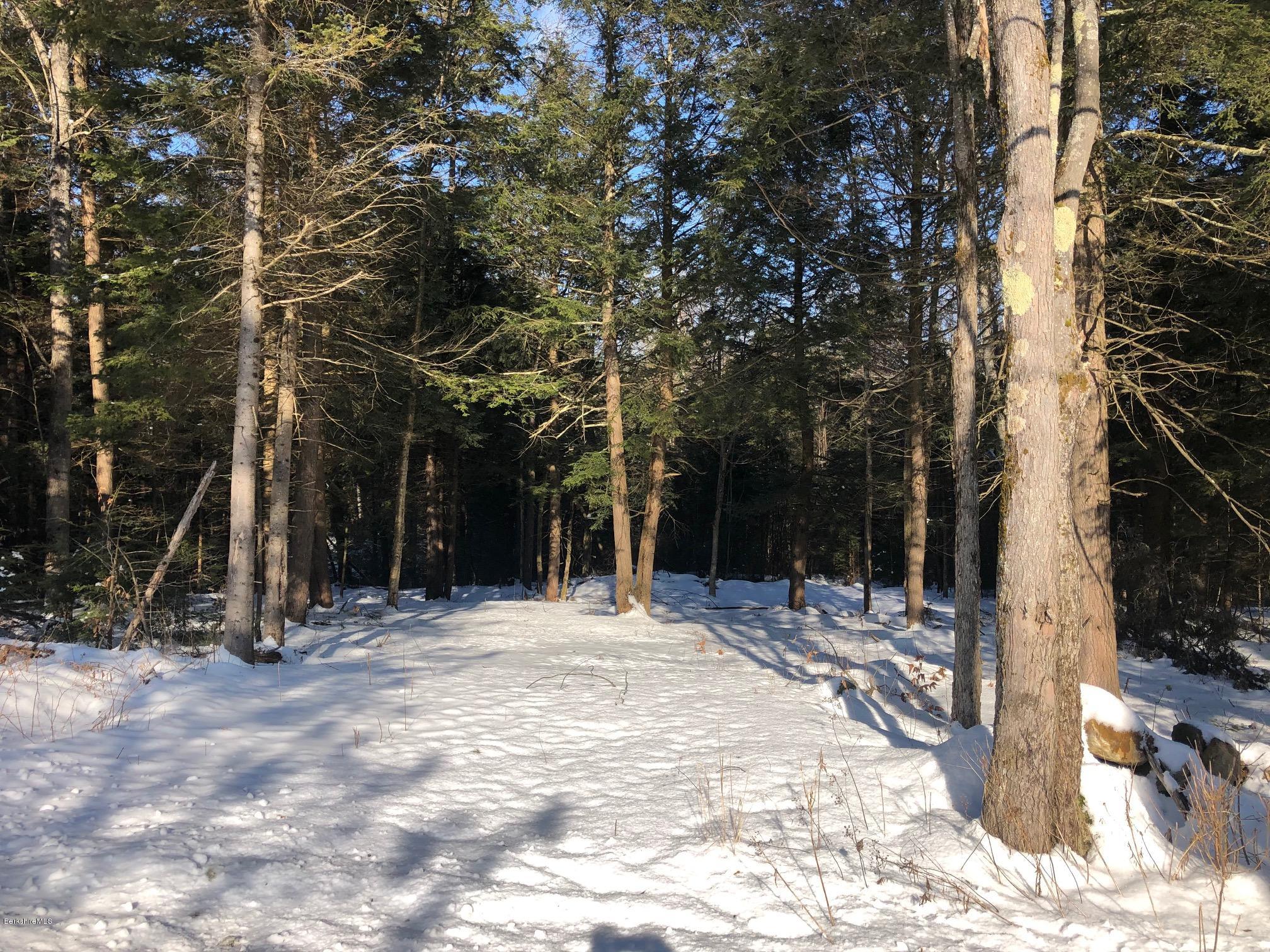 20 Haskell Road Peru, MA 01235 - Photo 2 of 8 a view of outdoor space with trees
