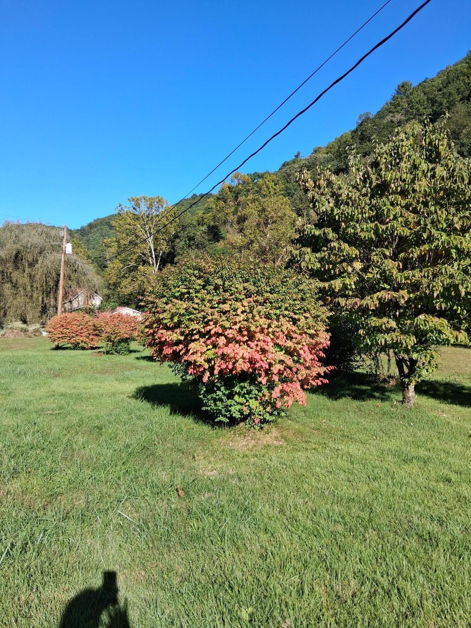 13370 South State Rte 20 Pipestem, WV 25979 - Photo 3 of 23 Gallery Image 3