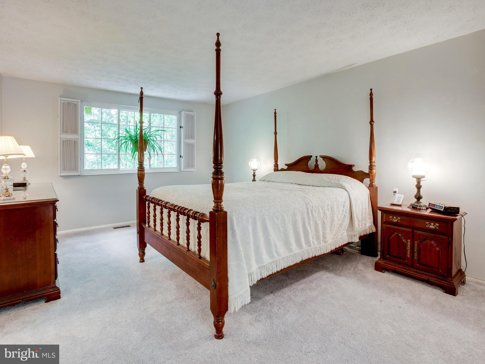 8355 Magic Leaf Road Springfield, VA 22153 - Photo 18 of 28 Bedroom (Master)