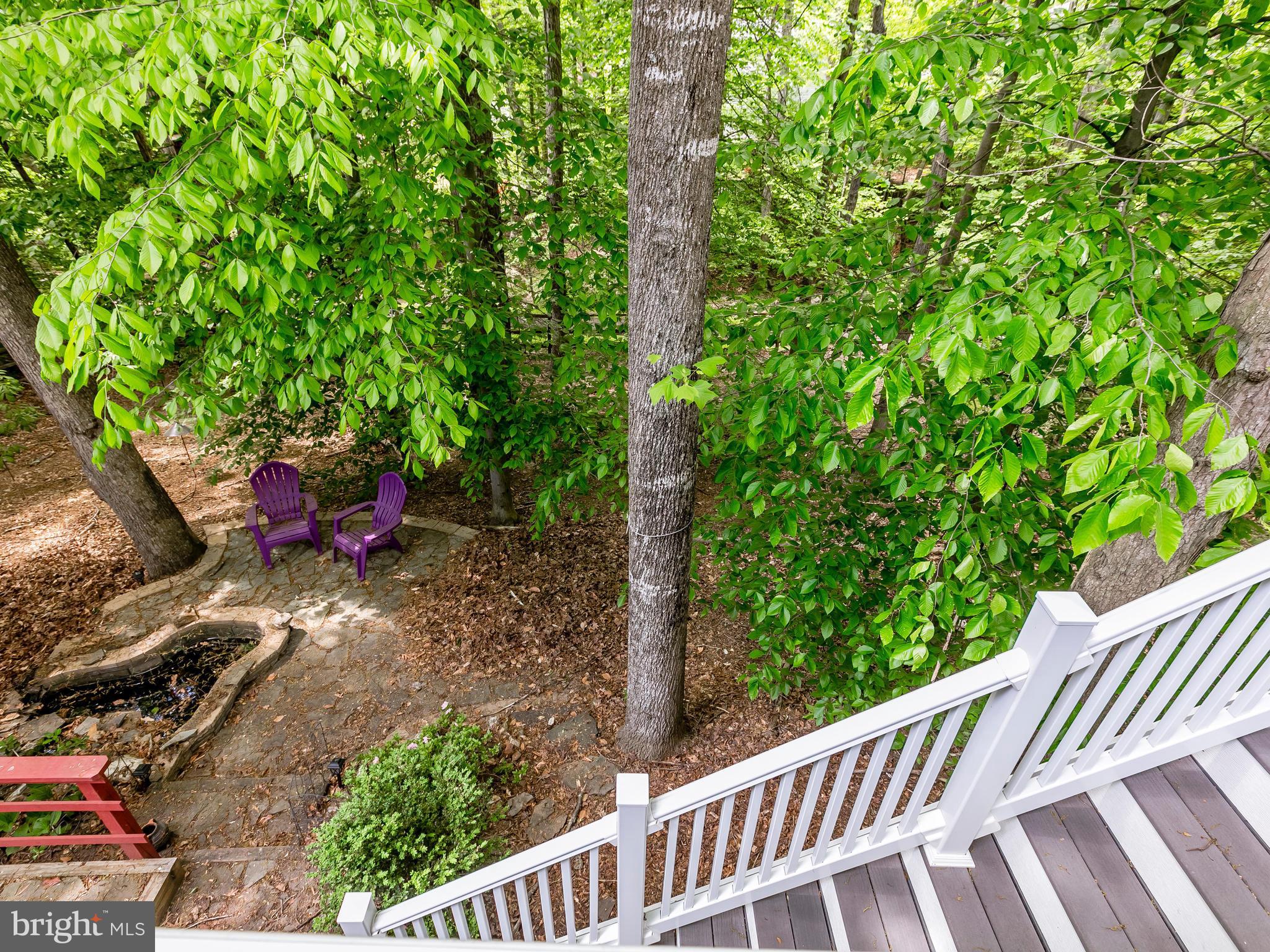 8355 Magic Leaf Road Springfield, VA 22153 - Photo 23 of 28 Exterior (Rear)