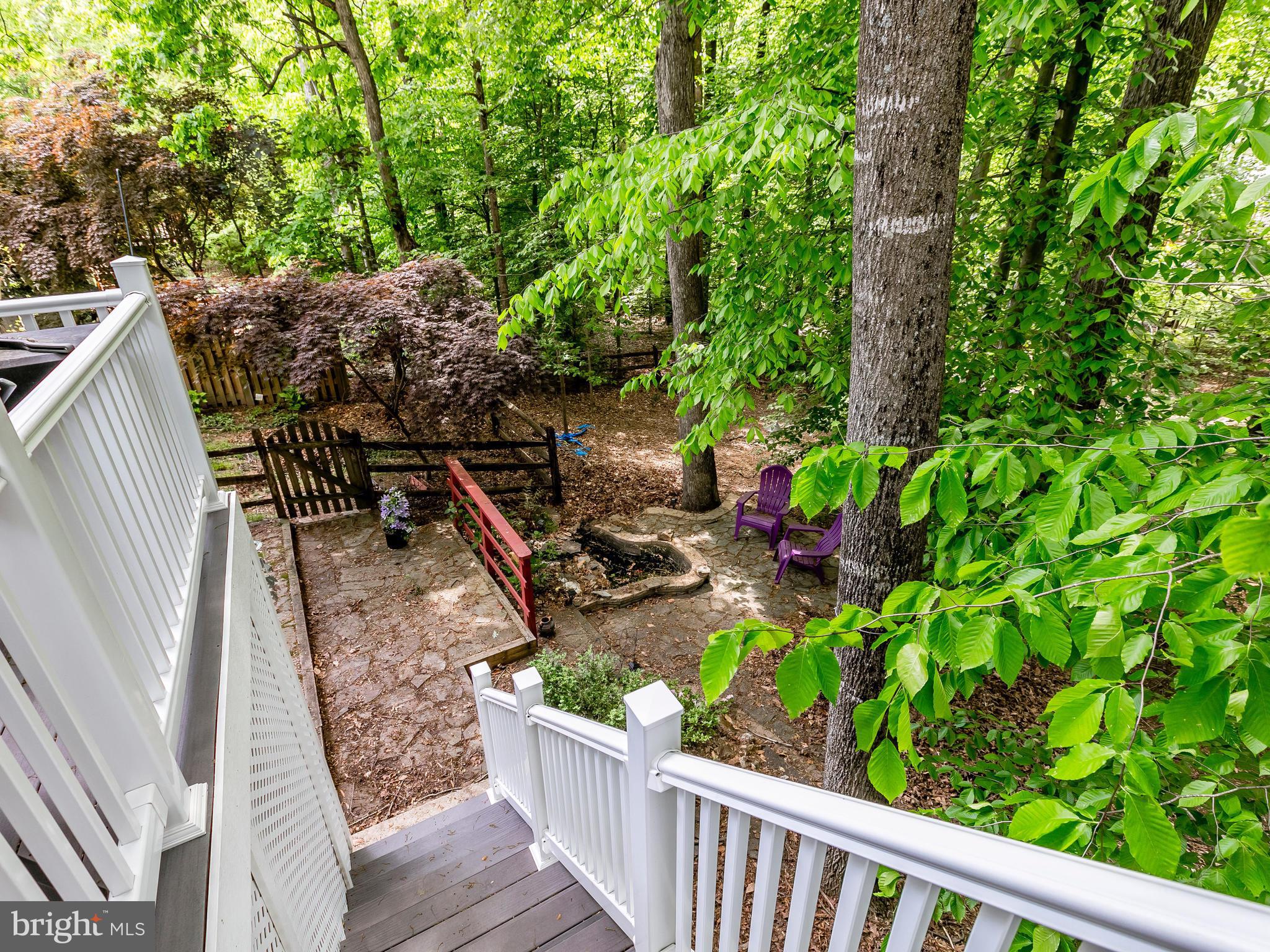 8355 Magic Leaf Road Springfield, VA 22153 - Photo 24 of 28 Exterior (Rear)