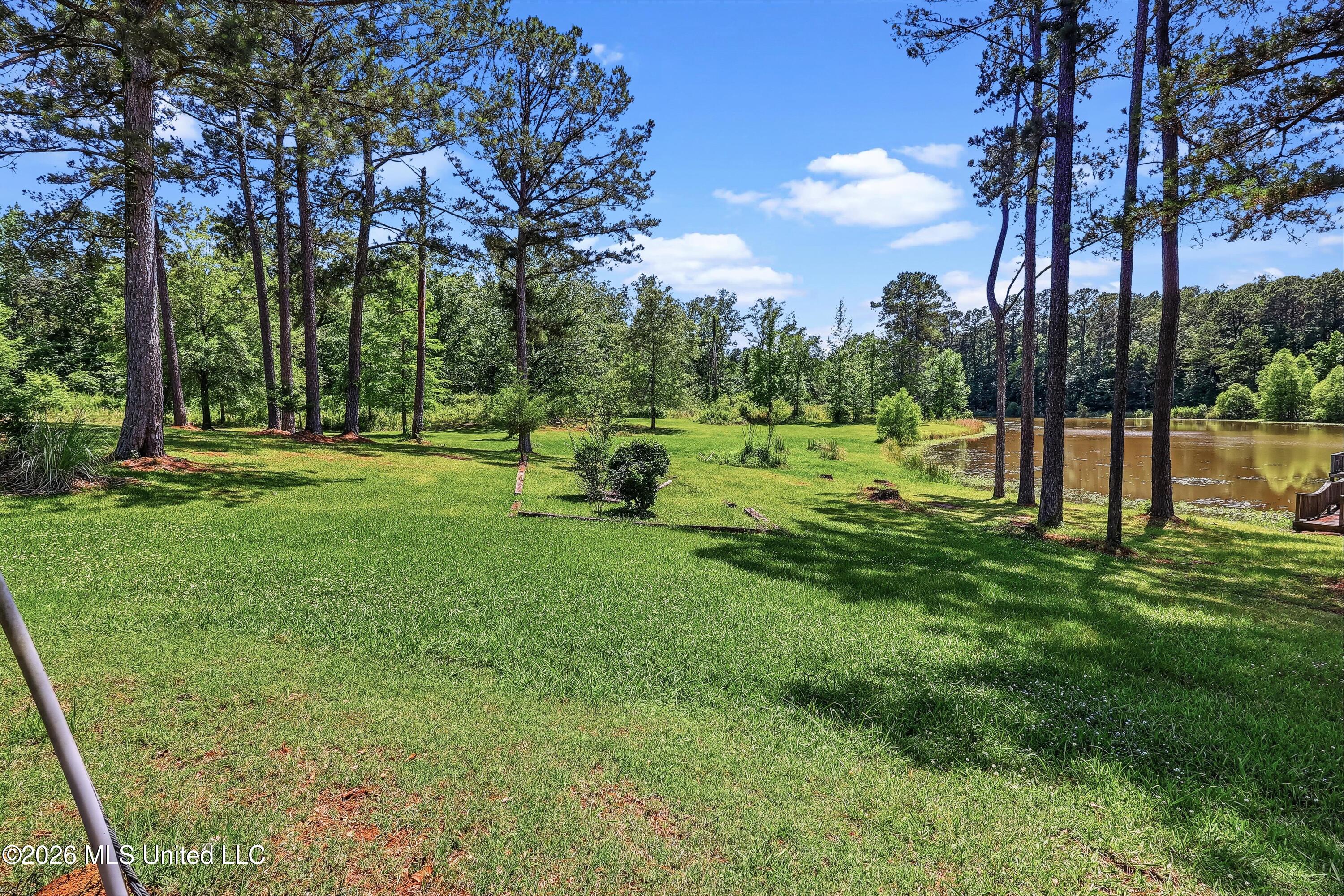1861 Sharon Road Canton, MS 39046 - Photo 30 of 32 0D0A6561