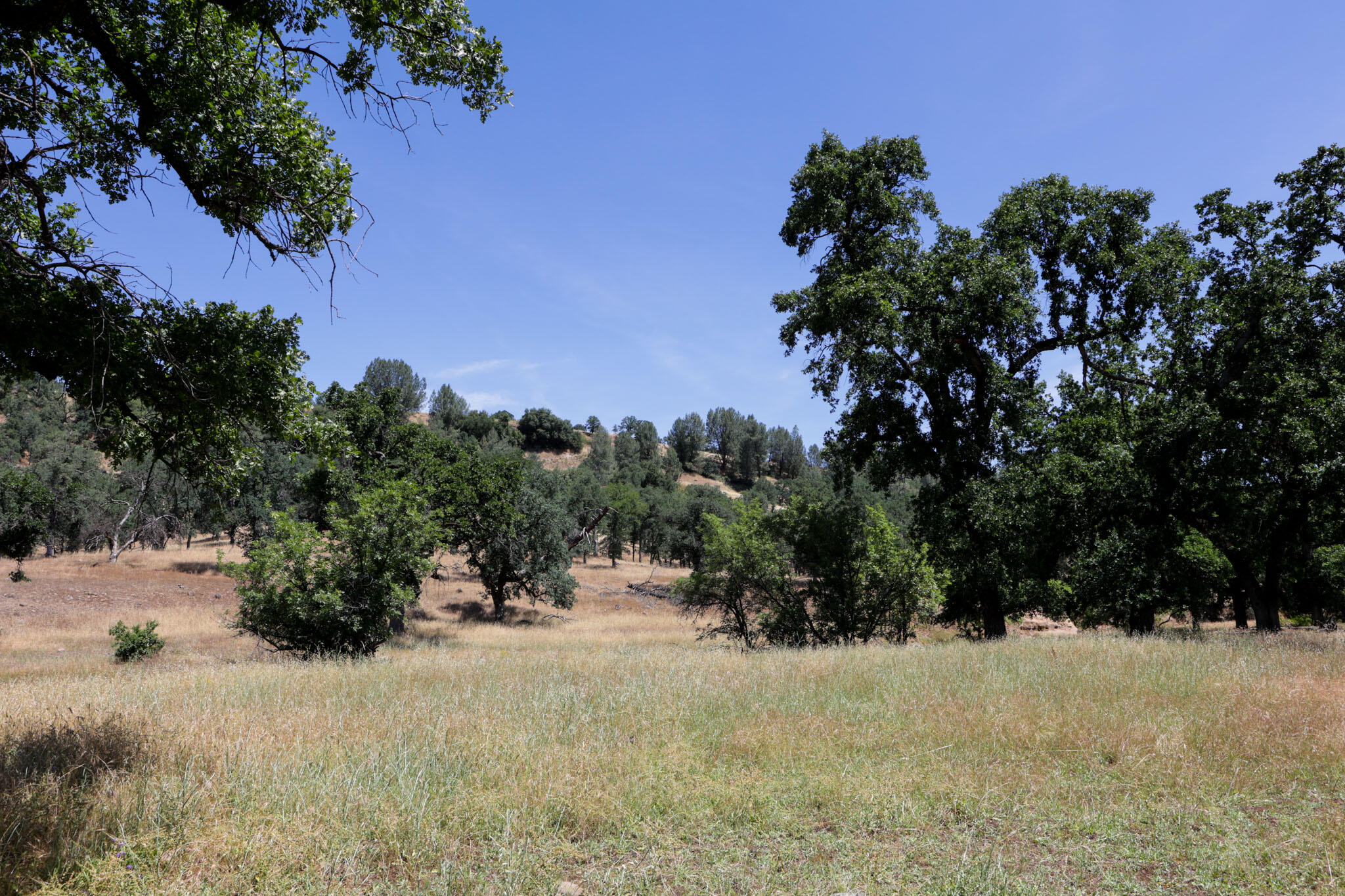 Racoon Way Oak Run, CA 96069 - Photo 19 of 73 607A9403