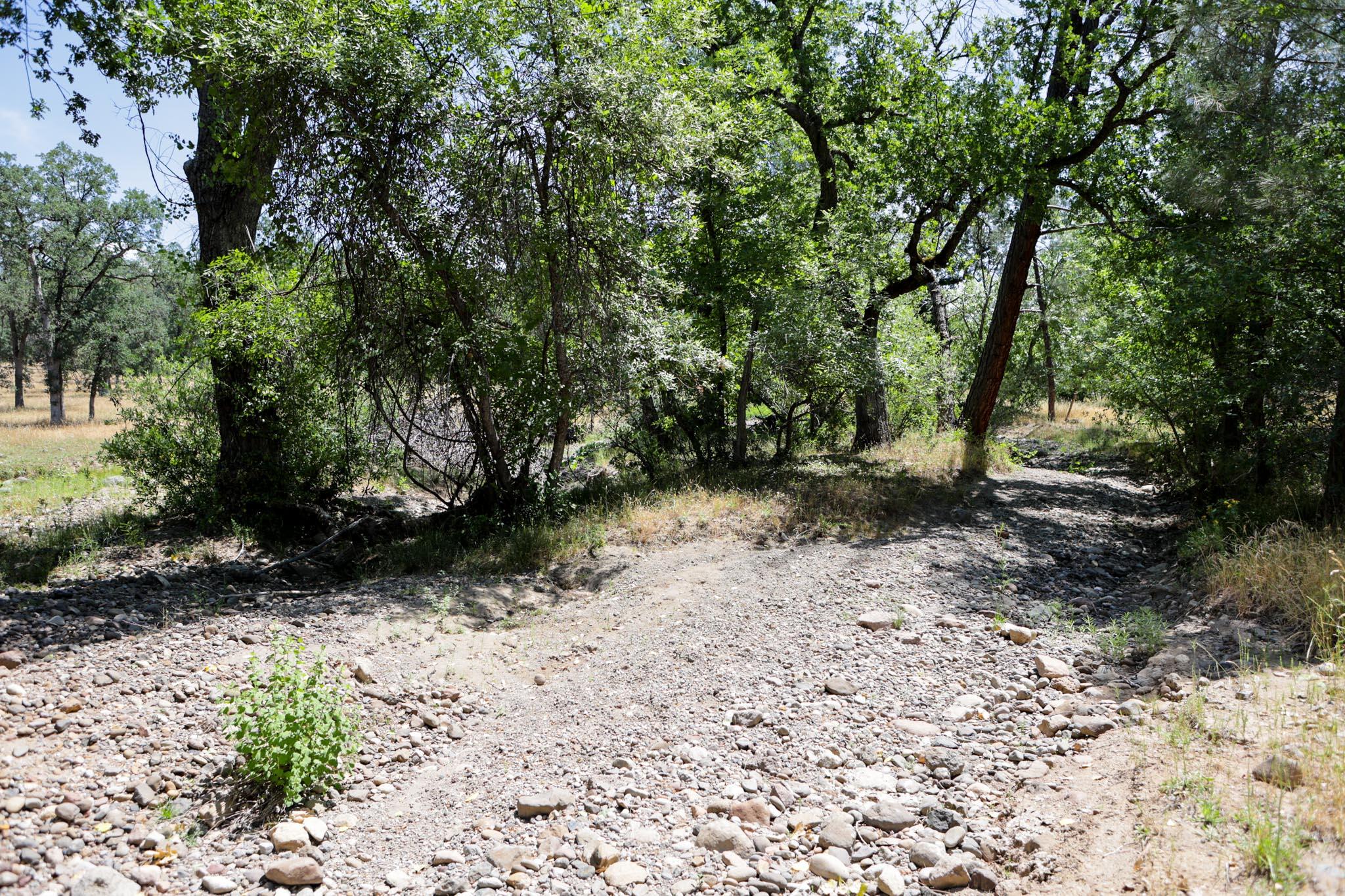 Racoon Way Oak Run, CA 96069 - Photo 24 of 73 607A9411