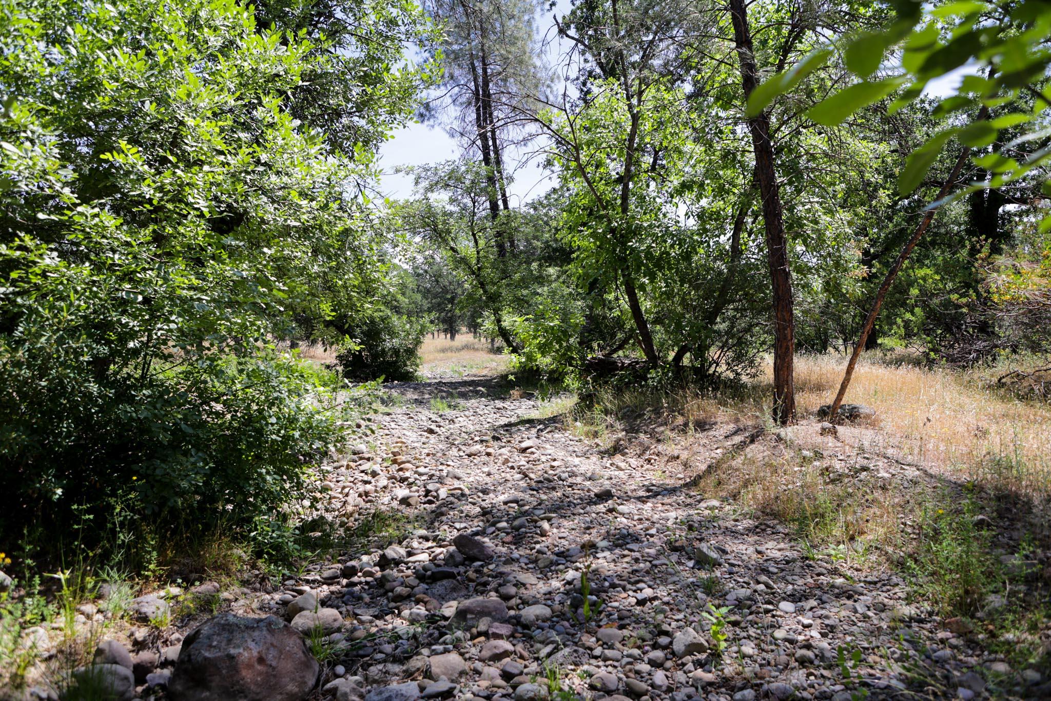 Racoon Way Oak Run, CA 96069 - Photo 25 of 73 607A9412