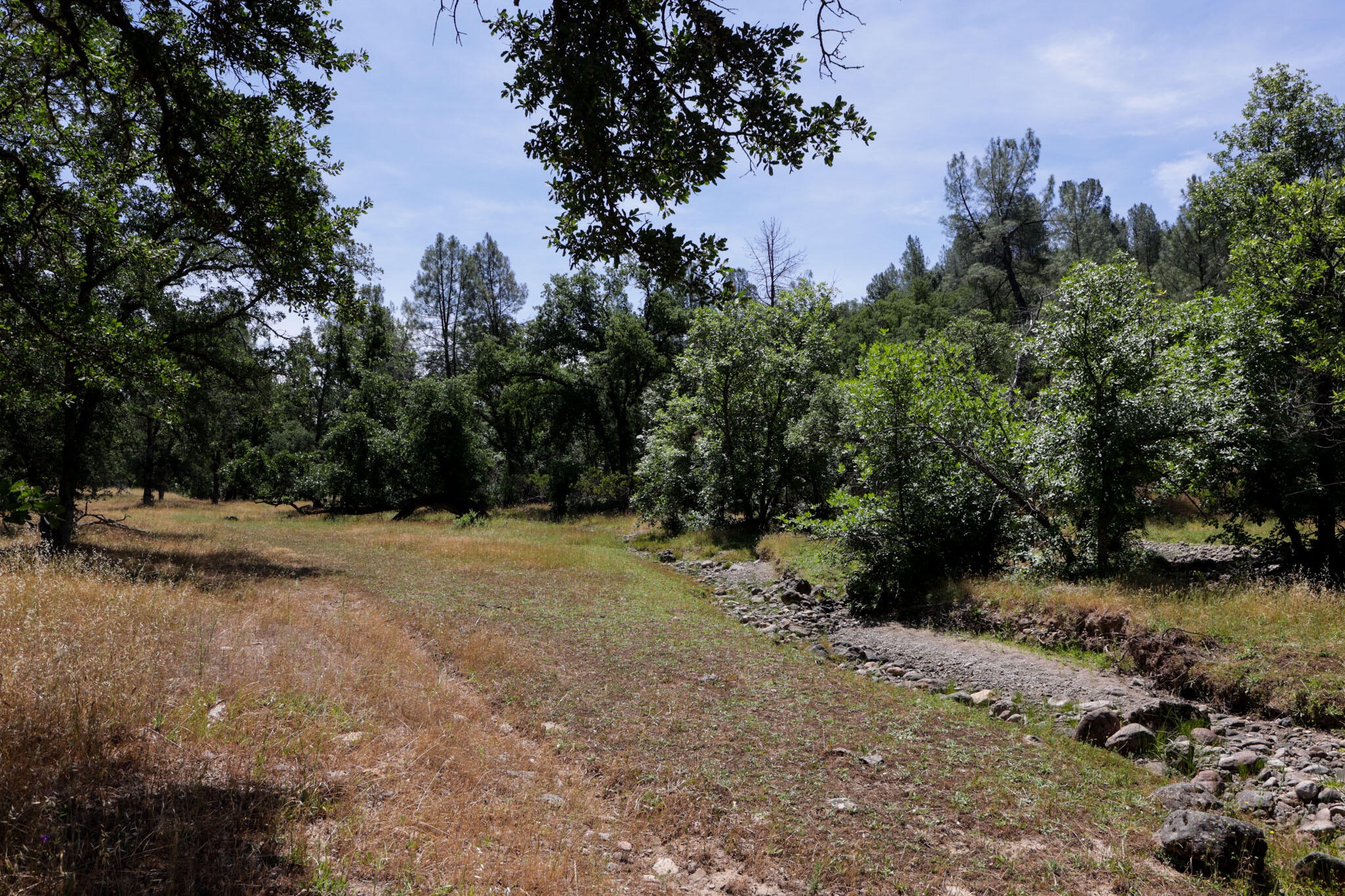 Racoon Way Oak Run, CA 96069 - Photo 28 of 73 607A9417