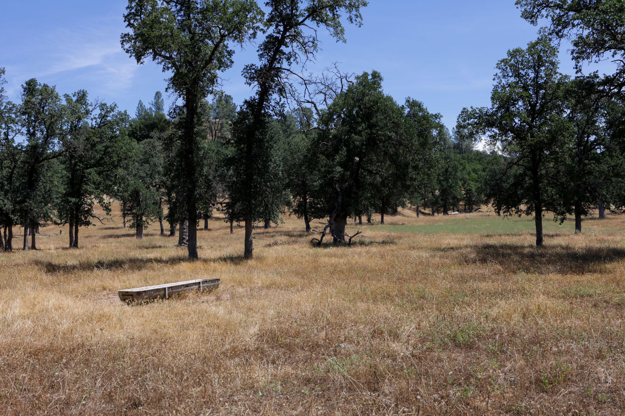 Racoon Way Oak Run, CA 96069 - Photo 32 of 73 607A9431