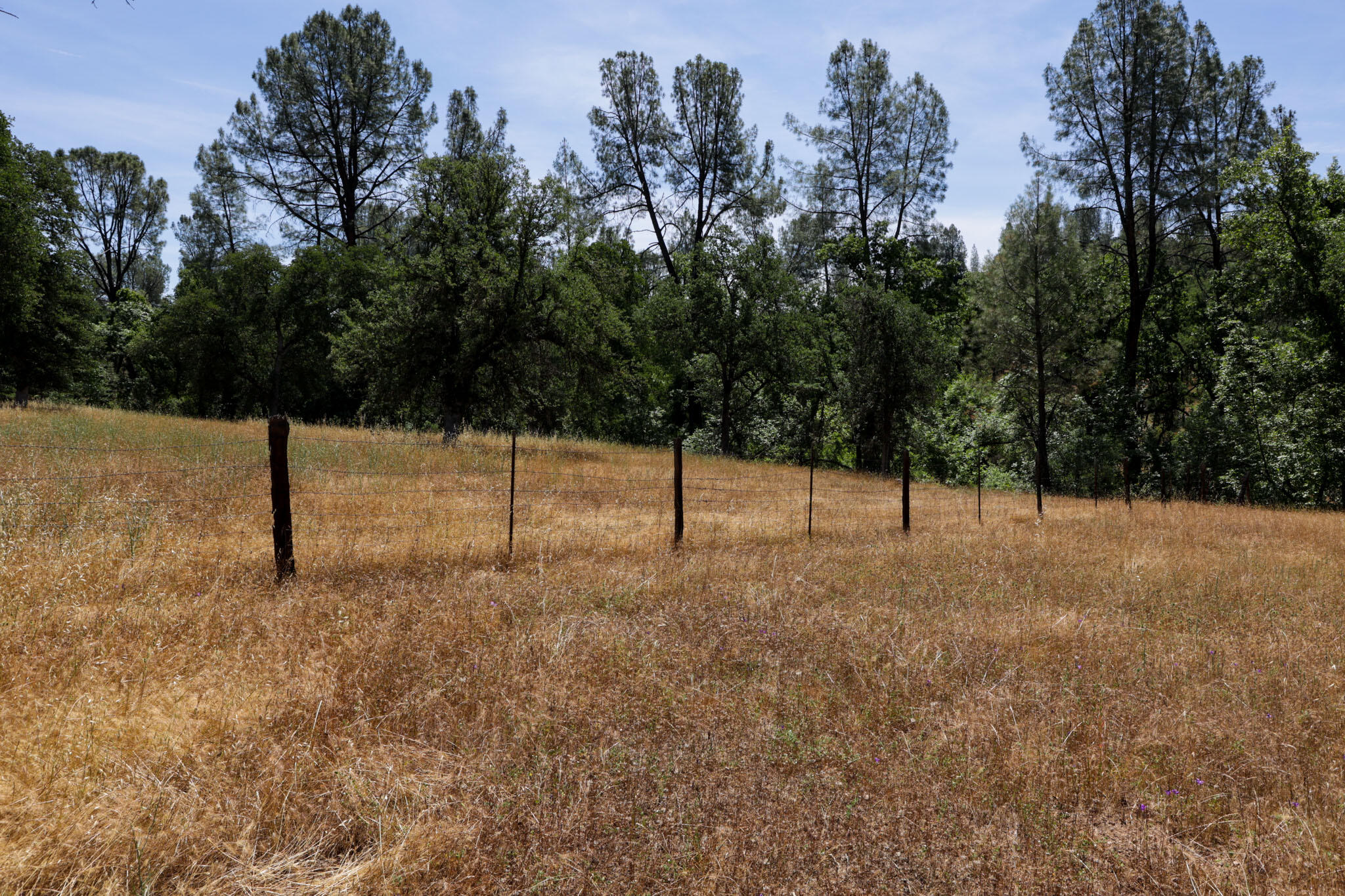 Racoon Way Oak Run, CA 96069 - Photo 47 of 73 607A9453