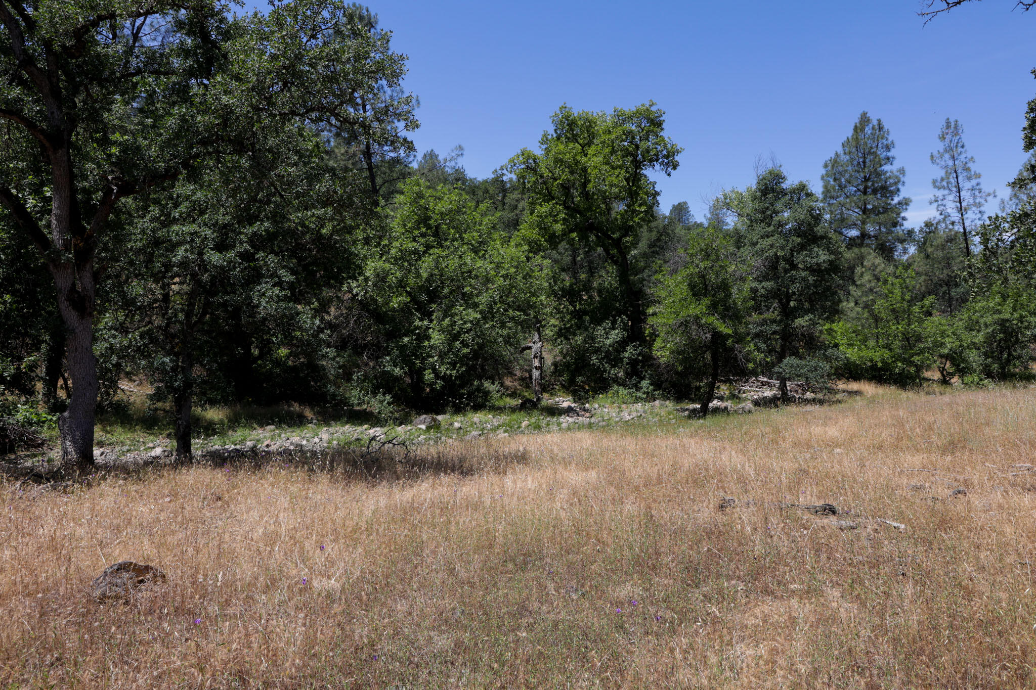 Racoon Way Oak Run, CA 96069 - Photo 55 of 73 607A9475
