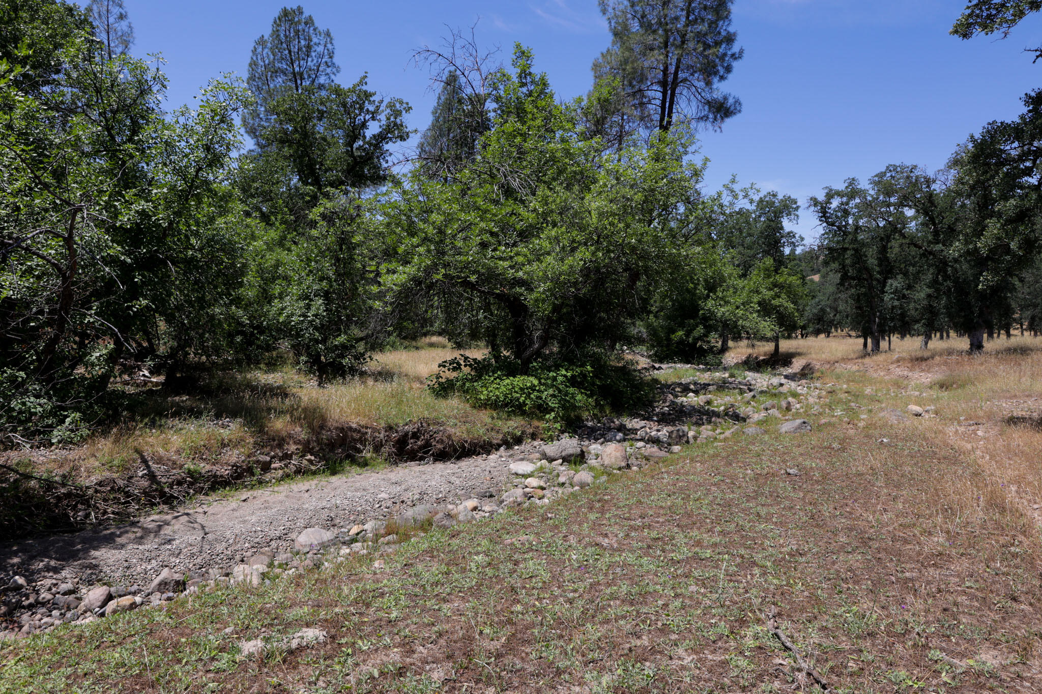 Racoon Way Oak Run, CA 96069 - Photo 58 of 73 607A9482