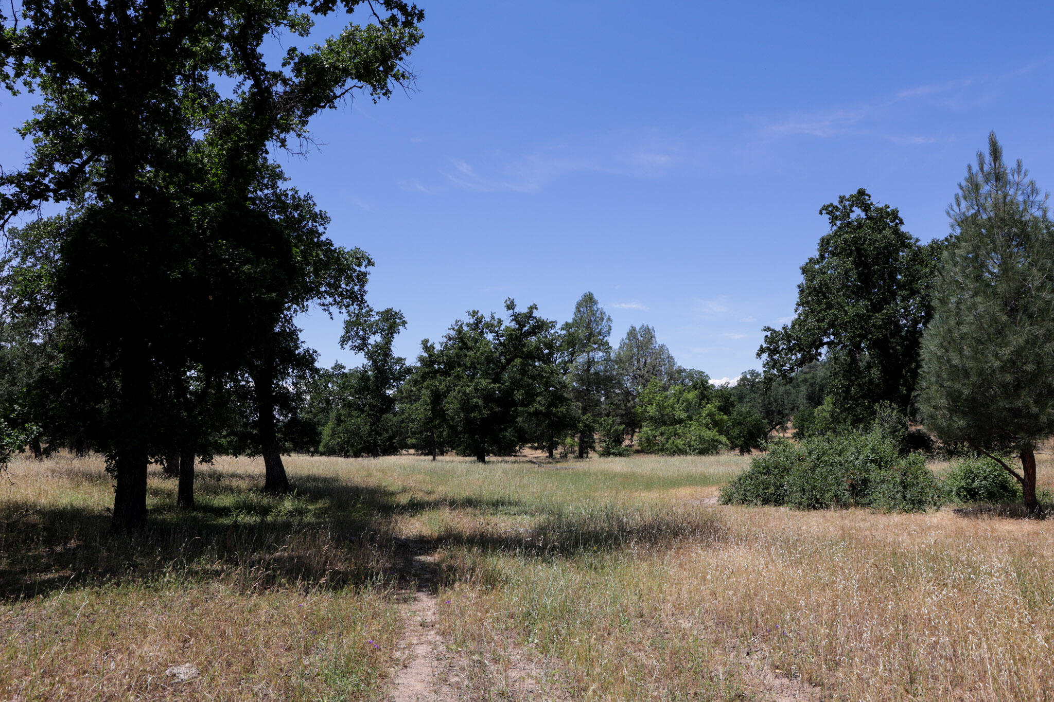 Racoon Way Oak Run, CA 96069 - Photo 62 of 73 607A9492