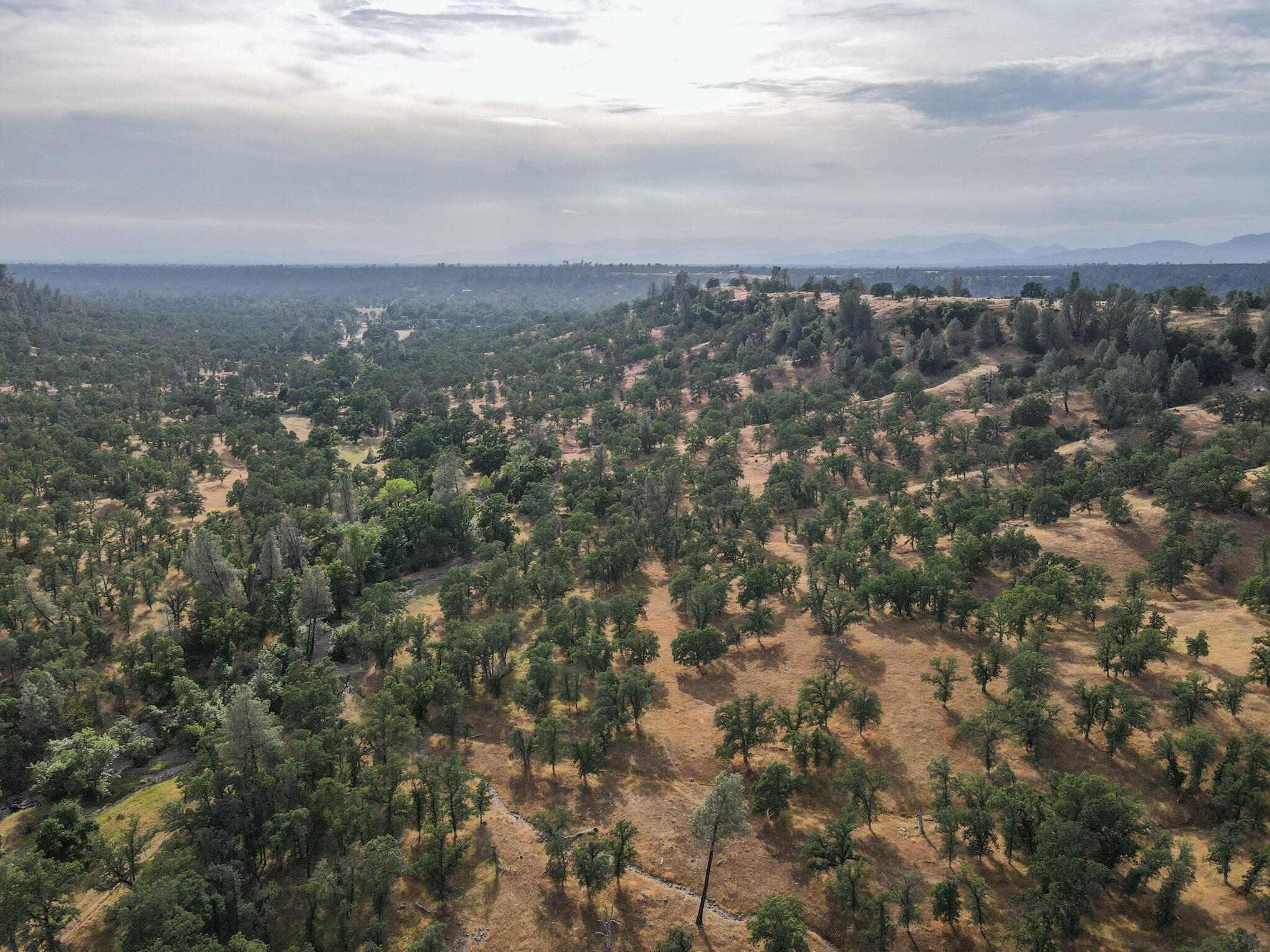 Racoon Way Oak Run, CA 96069 - Photo 65 of 73 DJI_0240