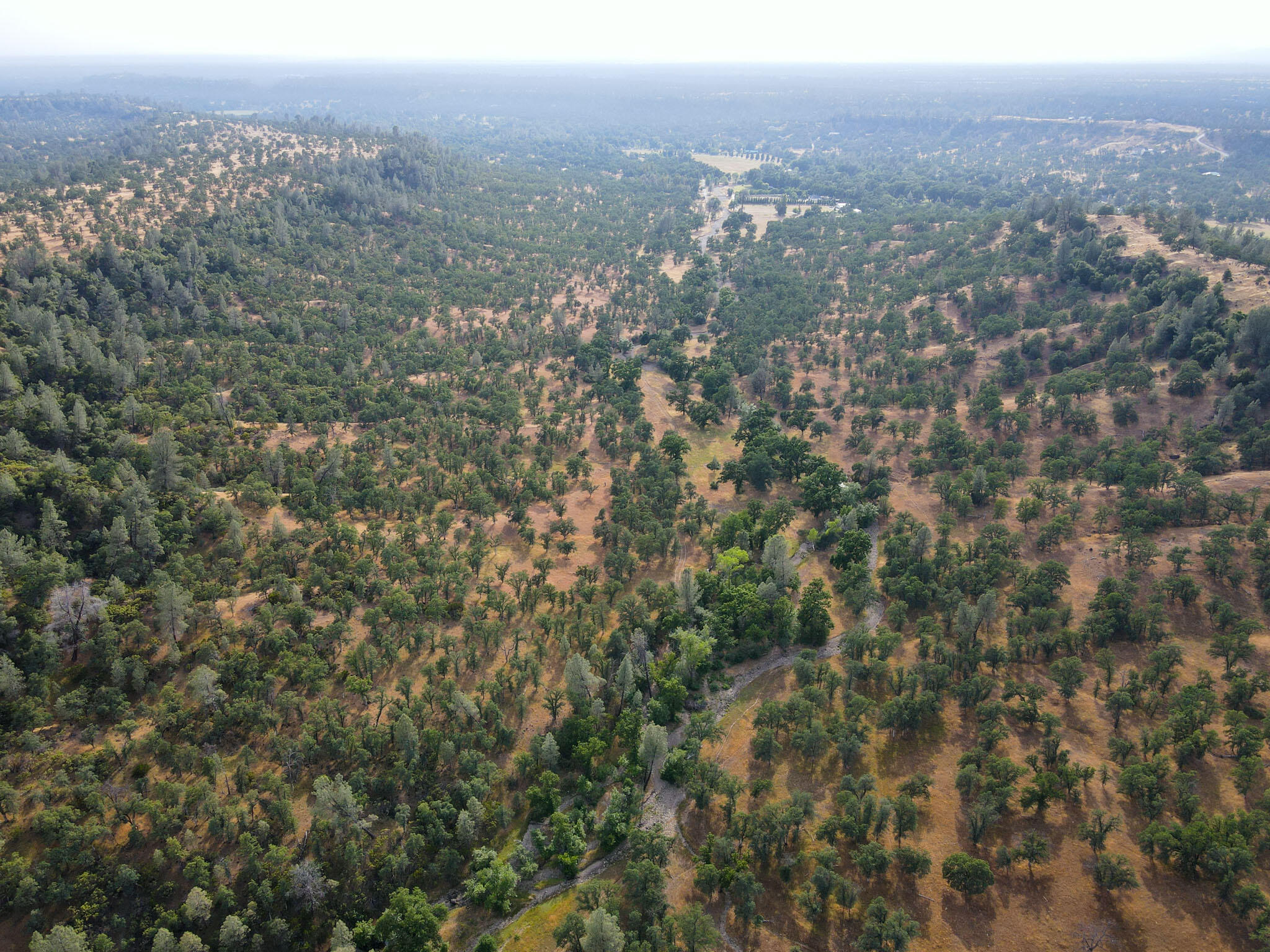 Racoon Way Oak Run, CA 96069 - Photo 66 of 73 DJI_0243