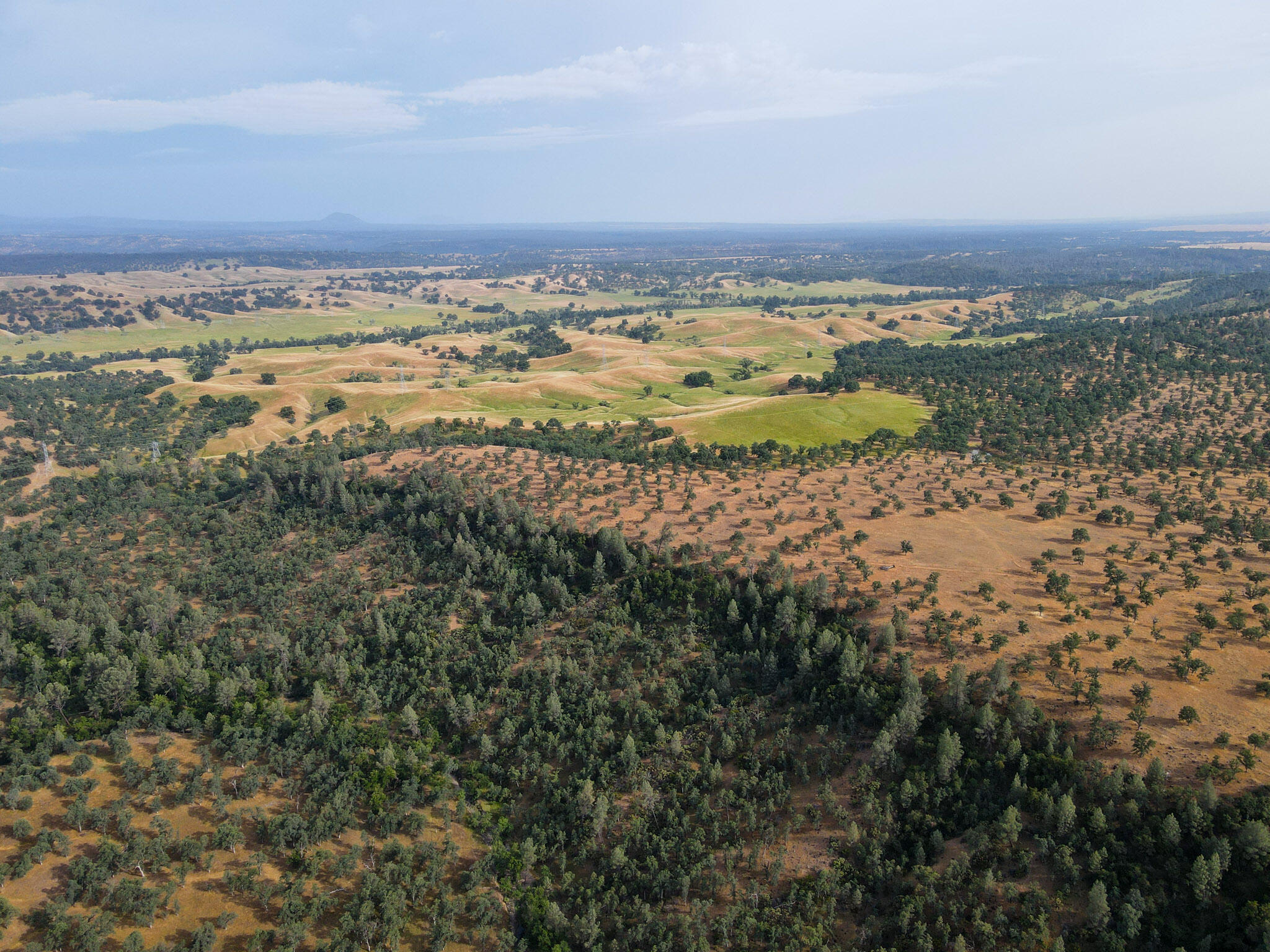 Racoon Way Oak Run, CA 96069 - Photo 70 of 73 DJI_0252