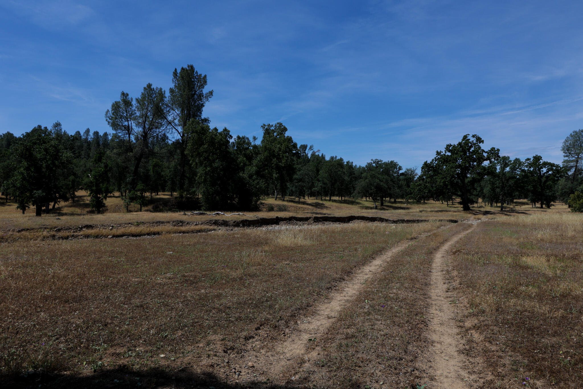 Racoon Way Oak Run, CA 96069 - Photo 7 of 73 607A9372