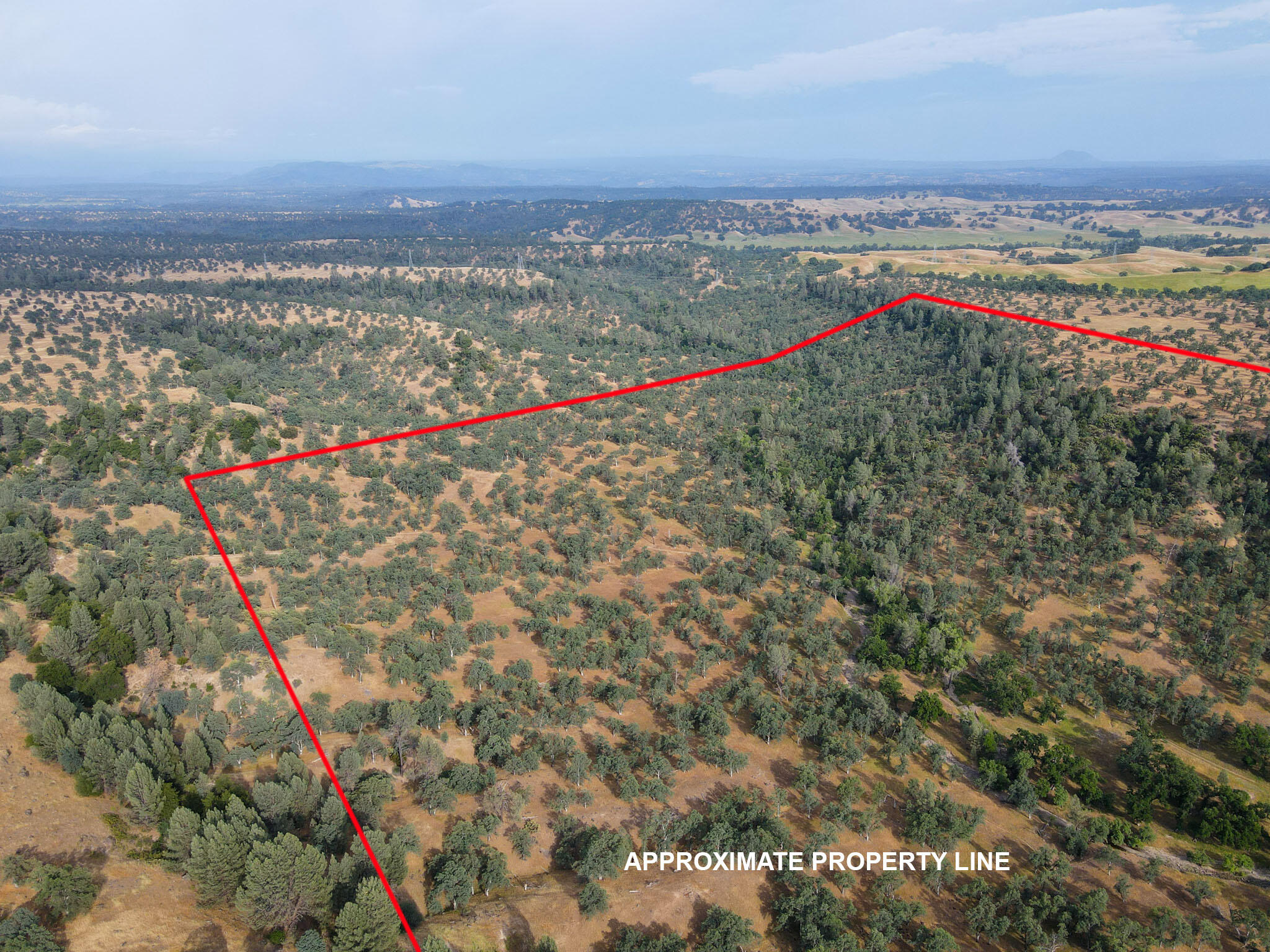 Racoon Way Oak Run, CA 96069 - Photo 71 of 73 DJI_0258