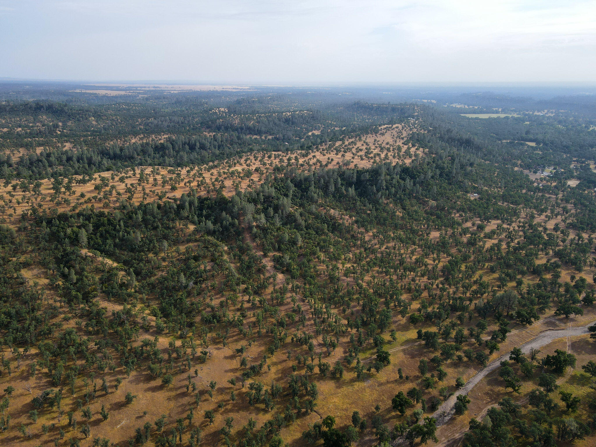 Racoon Way Oak Run, CA 96069 - Photo 72 of 73 DJI_0261