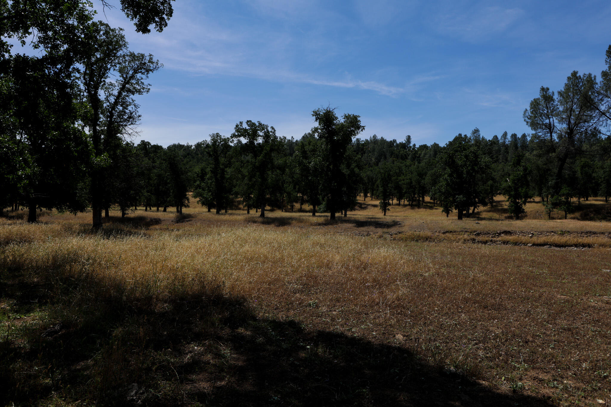 Racoon Way Oak Run, CA 96069 - Photo 8 of 73 607A9375