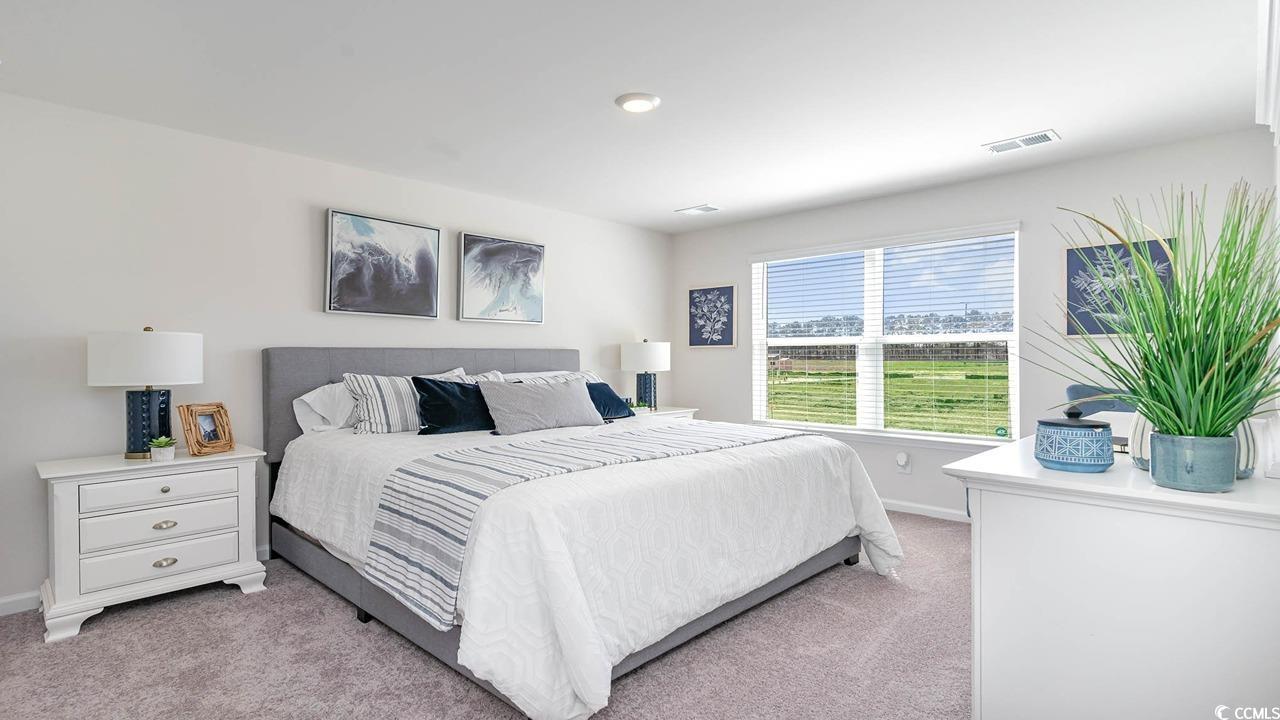 572 Strawberry Fld Way Galivants Ferry, SC 29544 - Photo 12 of 22