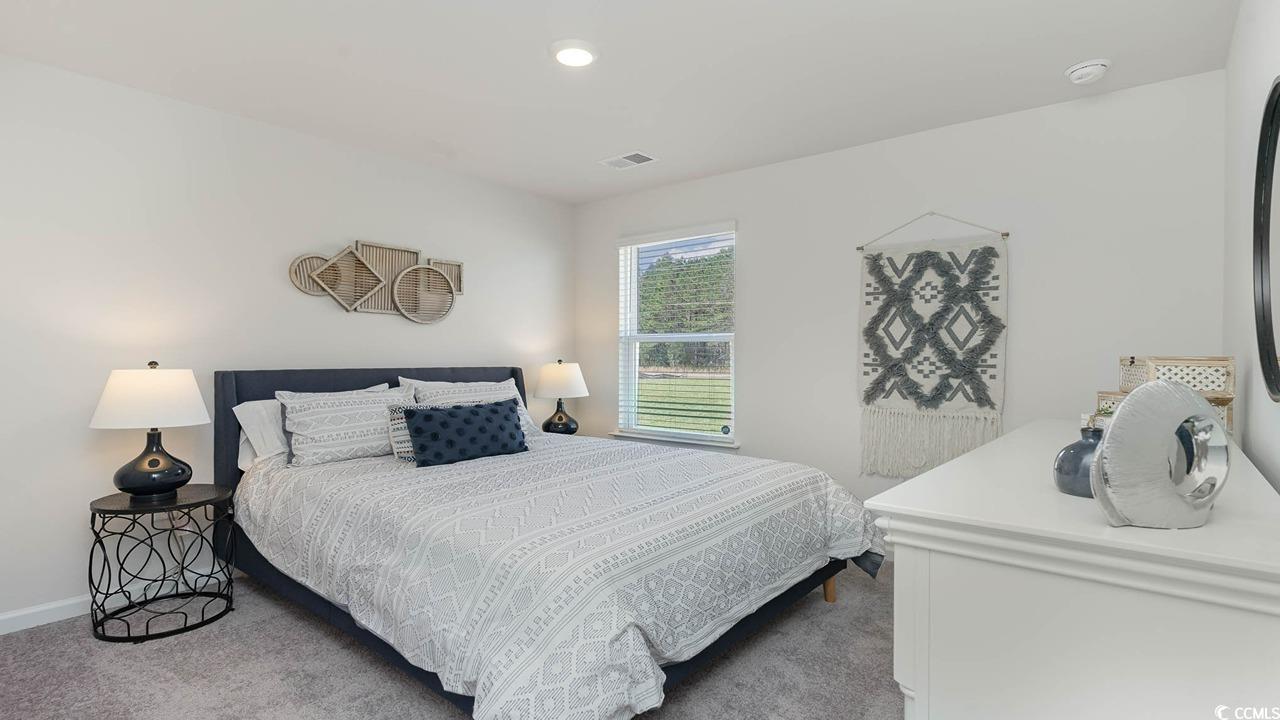 572 Strawberry Fld Way Galivants Ferry, SC 29544 - Photo 16 of 22