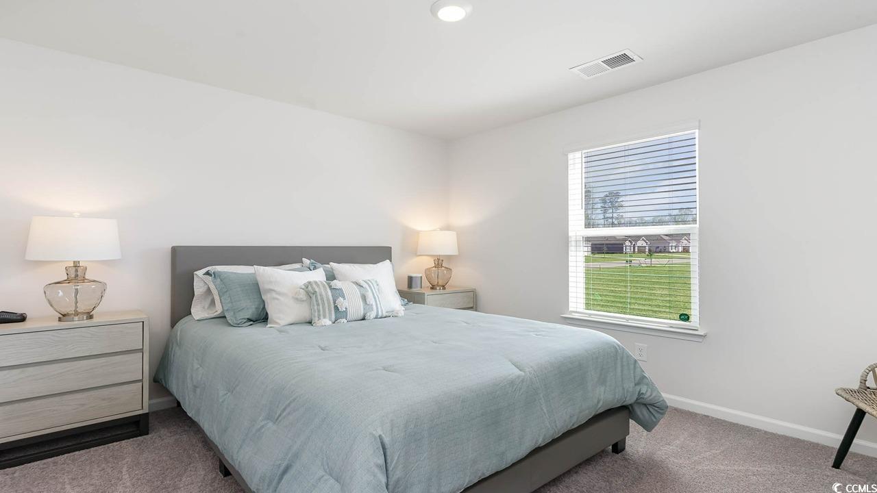 572 Strawberry Fld Way Galivants Ferry, SC 29544 - Photo 20 of 22