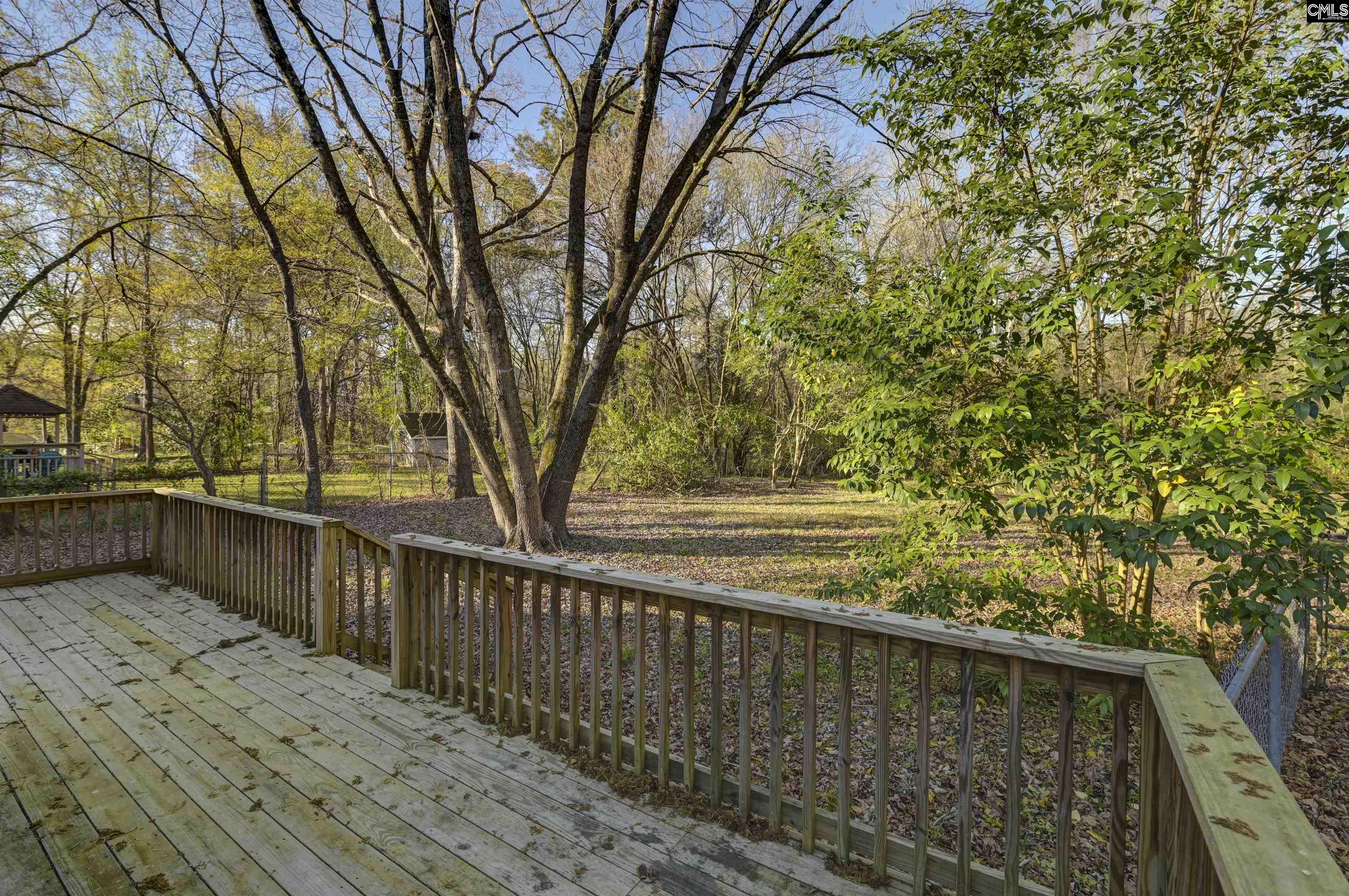 337 Chapelwhite Road Irmo, SC 29063 - Photo 9 of 29