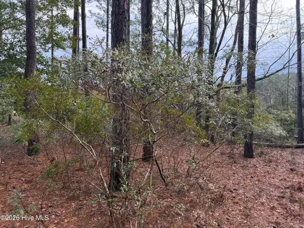$50,000 | 180 Tall Pines Drive, Oriental, NC 28571