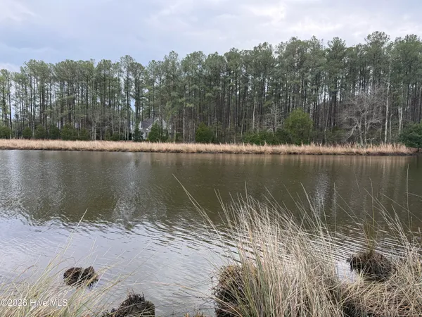 $50,000 | 180 Tall Pines Drive, Oriental, NC 28571