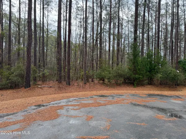 $50,000 | 180 Tall Pines Drive, Oriental, NC 28571