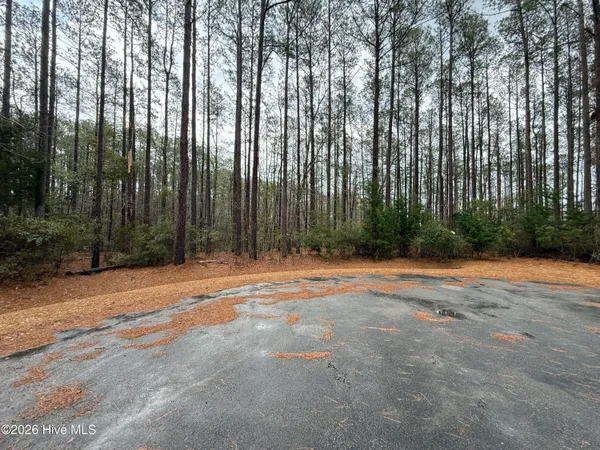 $50,000 | 180 Tall Pines Drive, Oriental, NC 28571