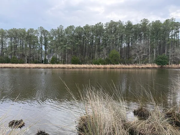 $50,000 | 180 Tall Pines Drive, Oriental, NC 28571