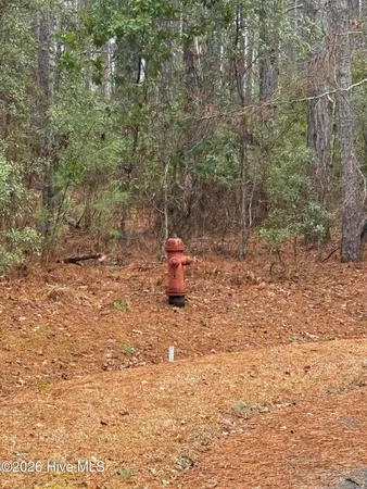 $50,000 | 180 Tall Pines Drive, Oriental, NC 28571