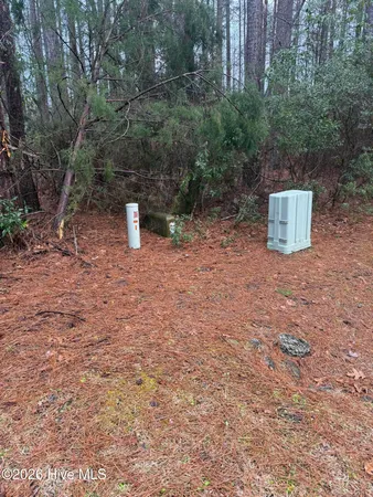 $50,000 | 180 Tall Pines Drive, Oriental, NC 28571