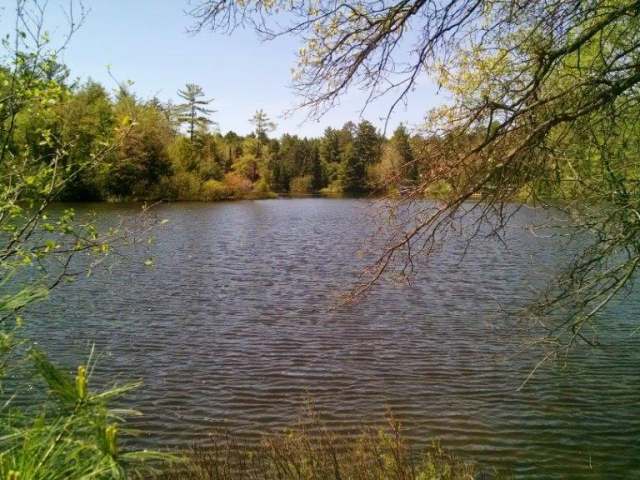 Near4063 Chain O Lakes Road Eagle River, WI 54521 - Photo 1 of 9 Gallery Image 1