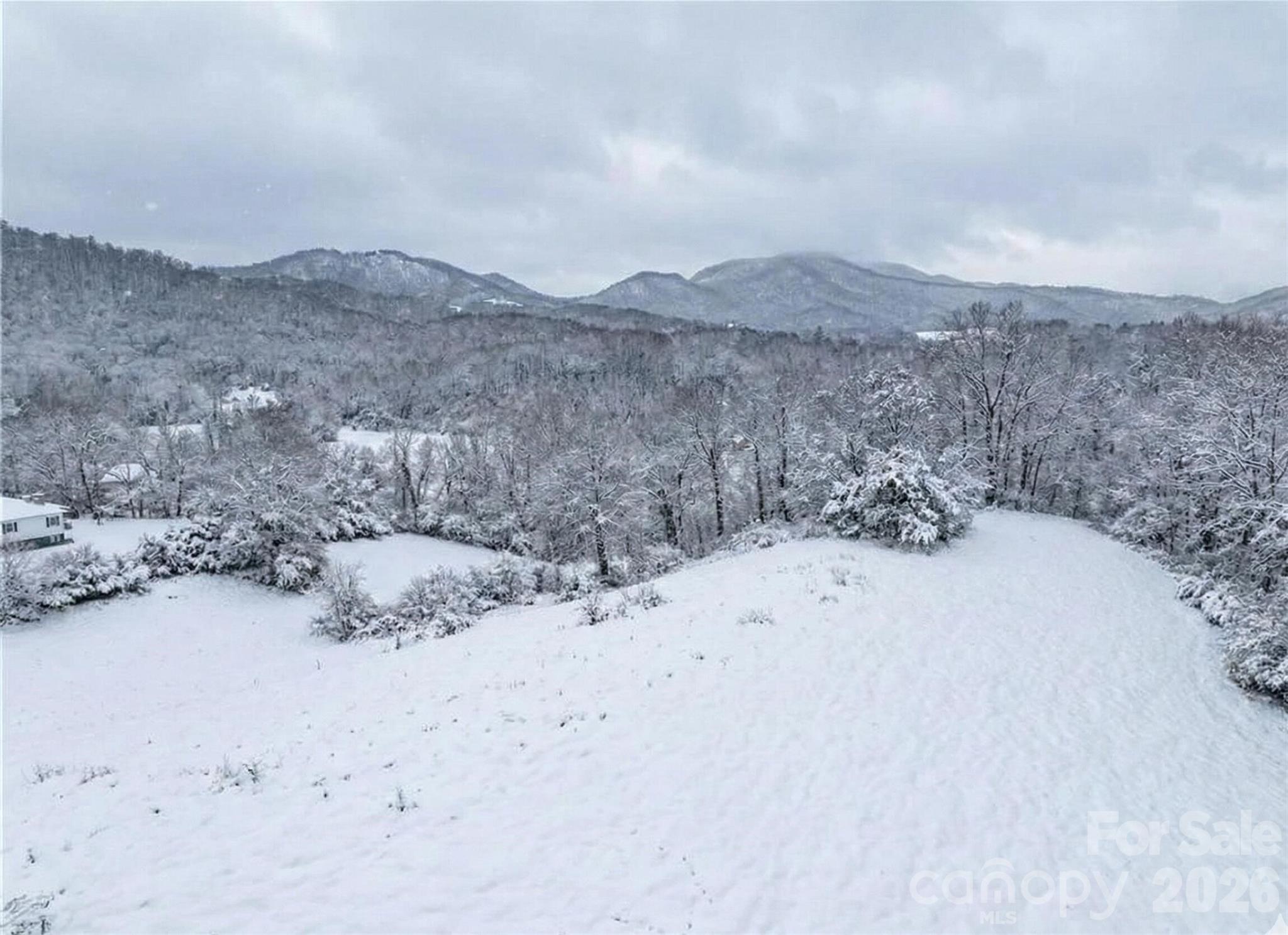 37 Amber Lane Clyde, NC 28721 - Photo 11 of 18