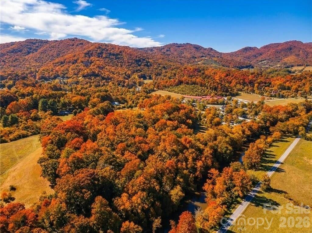 37 Amber Lane Clyde, NC 28721 - Photo 13 of 18