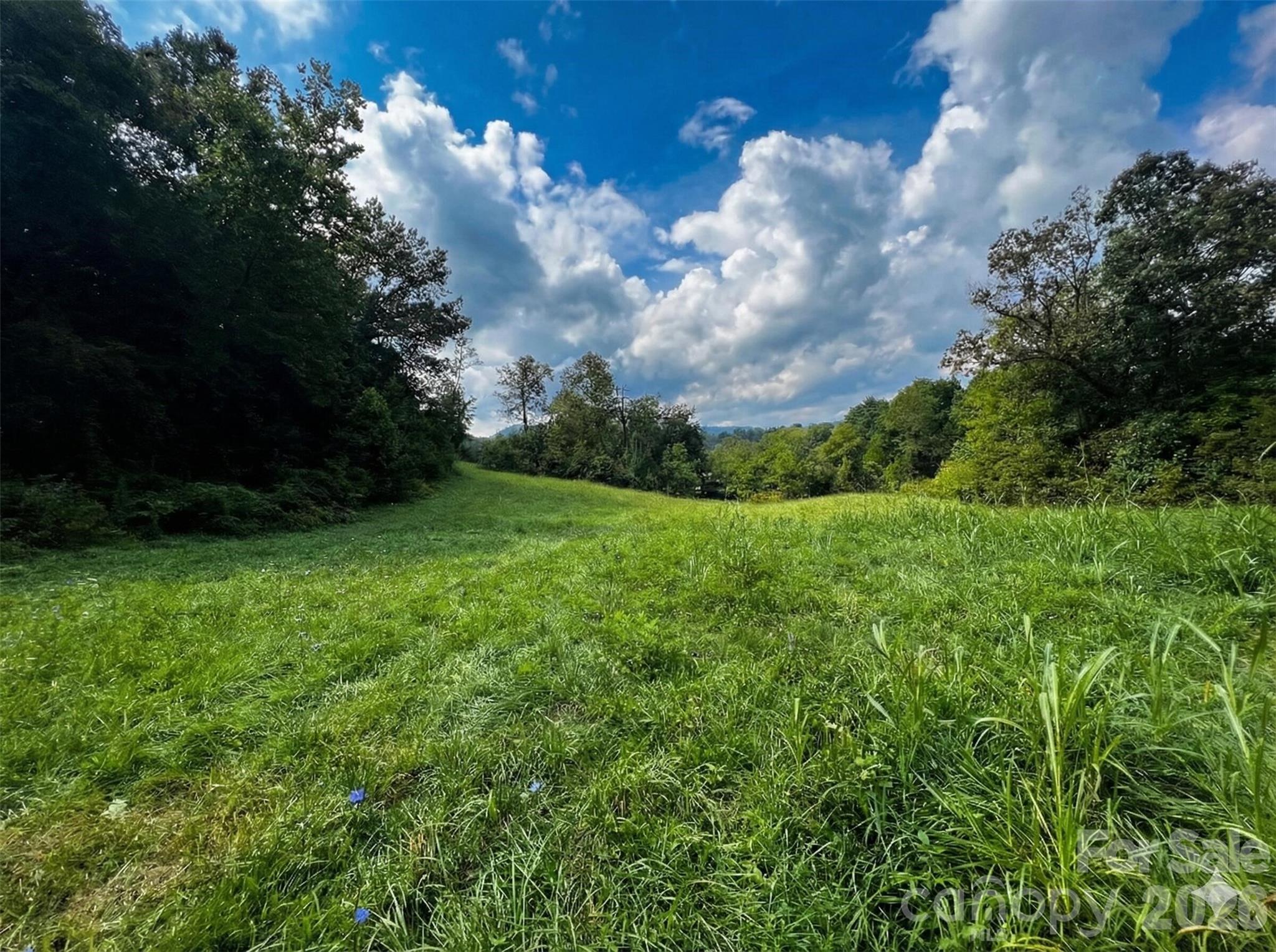 37 Amber Lane Clyde, NC 28721 - Photo 3 of 18