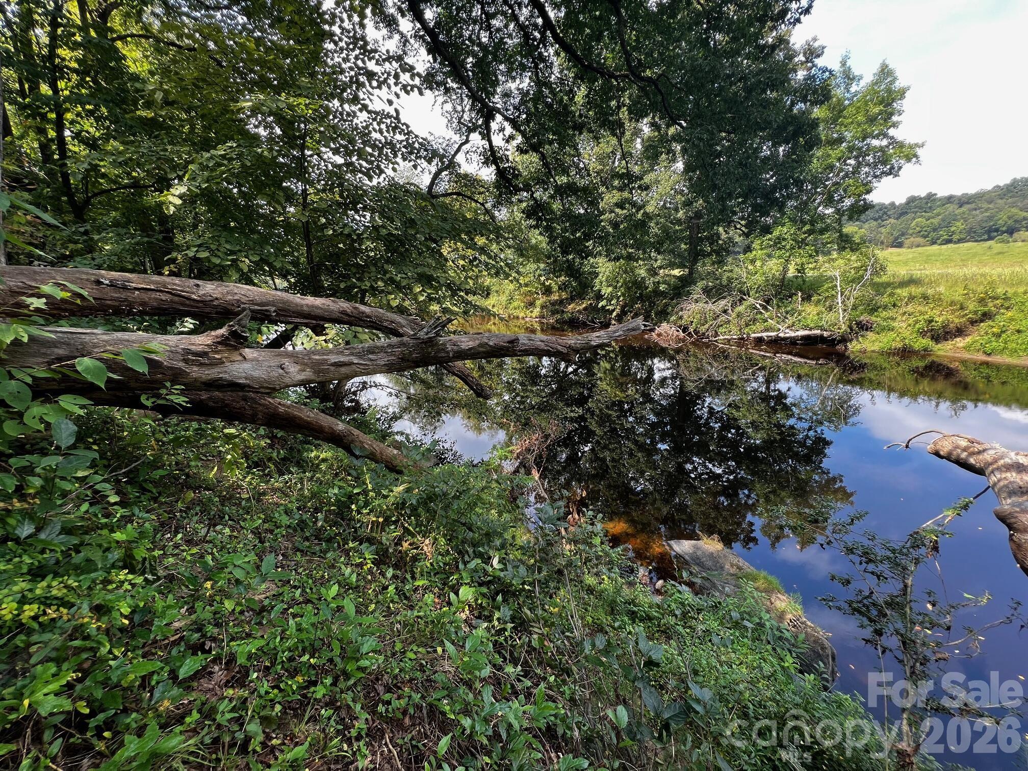 37 Amber Lane Clyde, NC 28721 - Photo 5 of 18