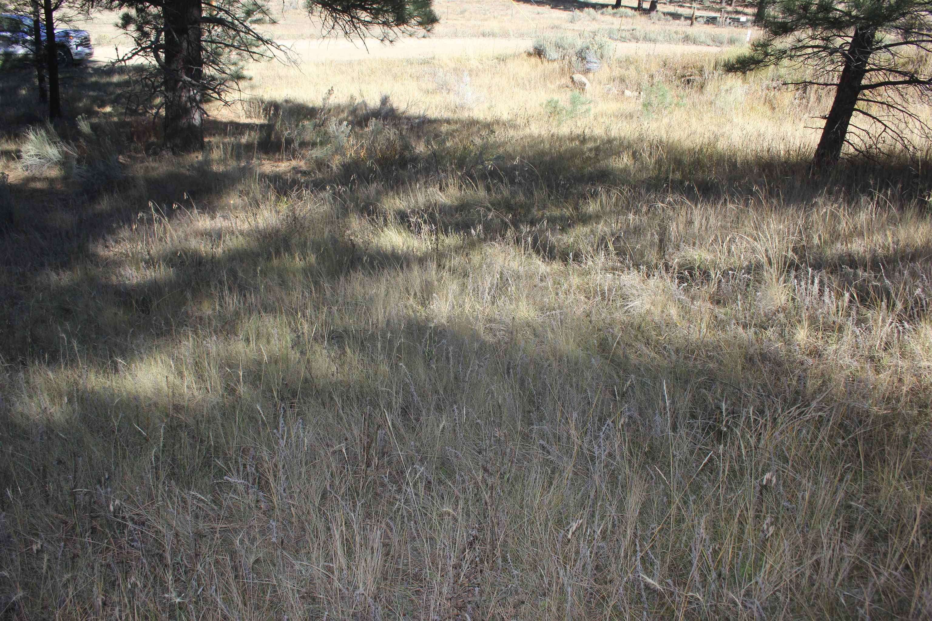 Lot 41 Valley Road Angel Fire, NM 87710 - Photo 5 of 12 Gallery Image 5